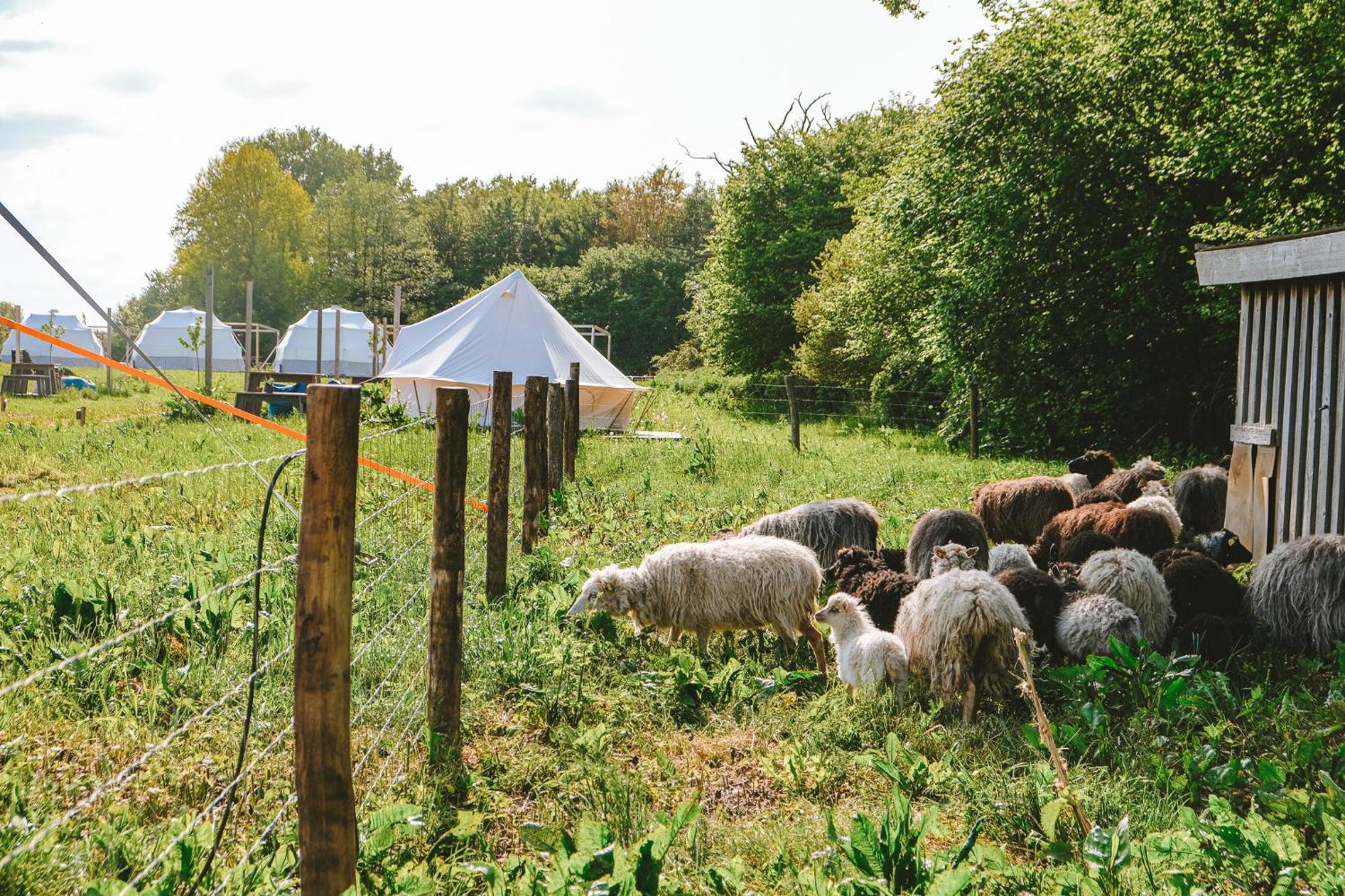 Hotel Domo Camp - Nature Glamping Hof Viehbrook Rendswuhren Exterior foto
